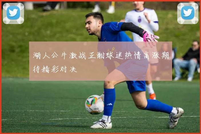 湖人公牛激战正酣球迷热情高涨期待精彩对决